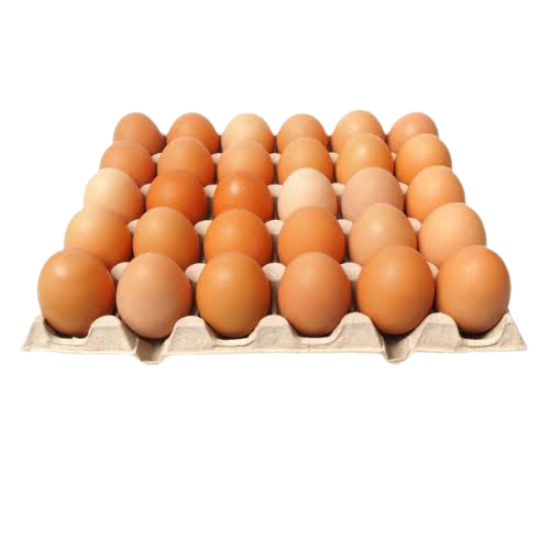 Huevos "viviana" De Gallinas Libres Maple X 30u