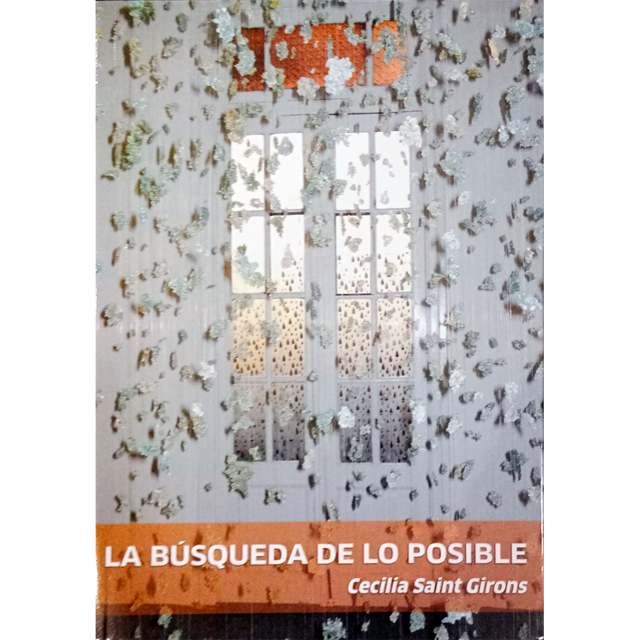 La Busqueda De Lo Posible - Cecilia Saint Girons
