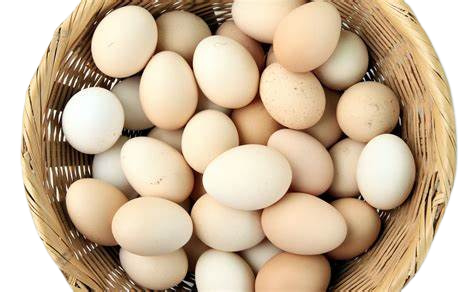 Huevos "viviana" De Gallinas Libres Maple X 30u