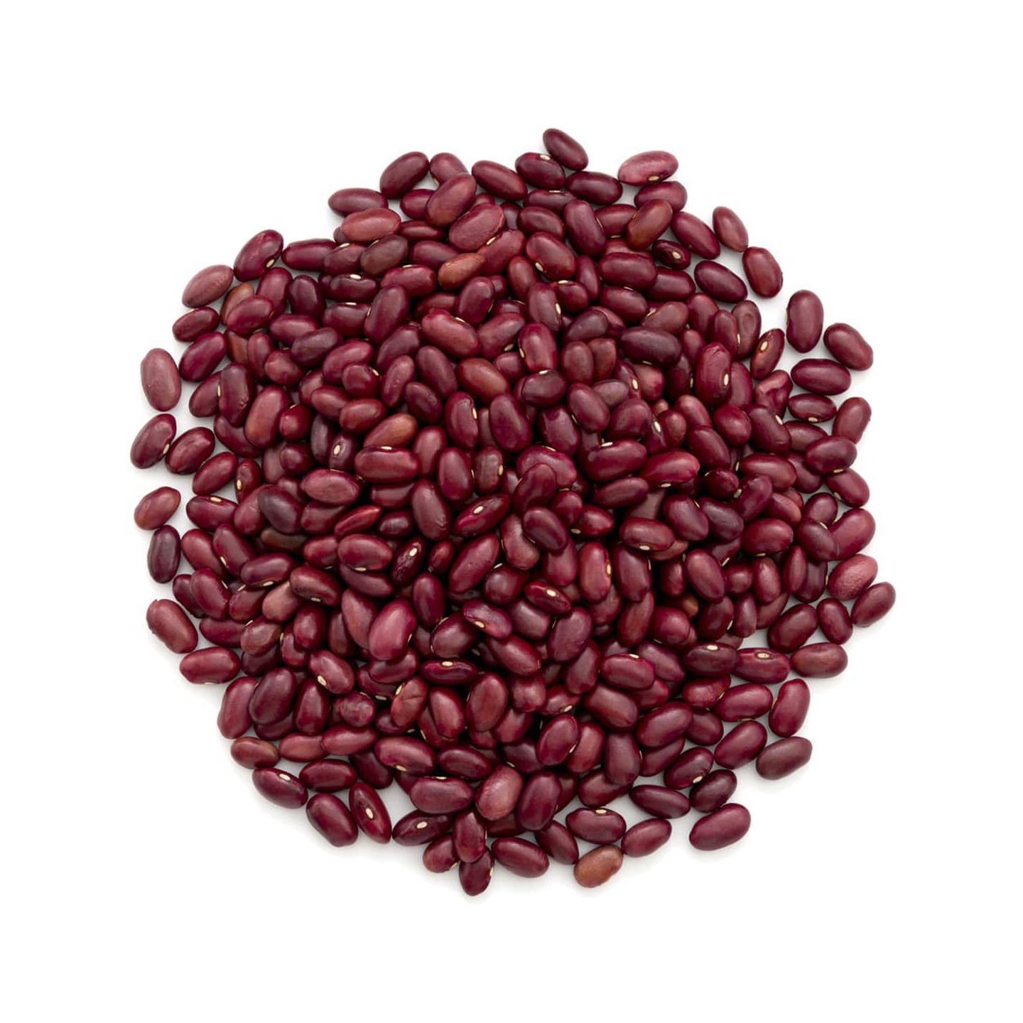 POROTOS COLORADOS AGROECOLOGICOS «SALVE LA TIERRA»