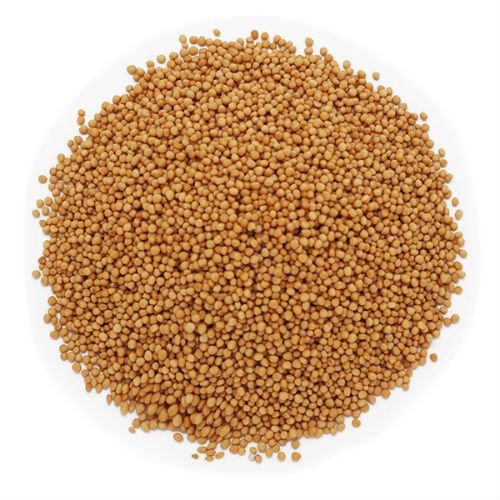 MOSTAZA EN GRANO "HUDAMAR" KG