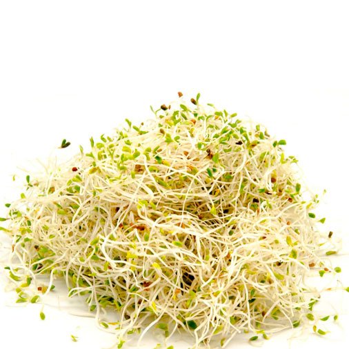 BROTES DE ALFALFA "NUTRIMUNDO" X 200 GR
