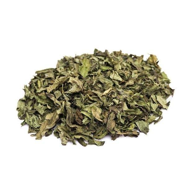 MENTA VERDE "HUDAMAR"