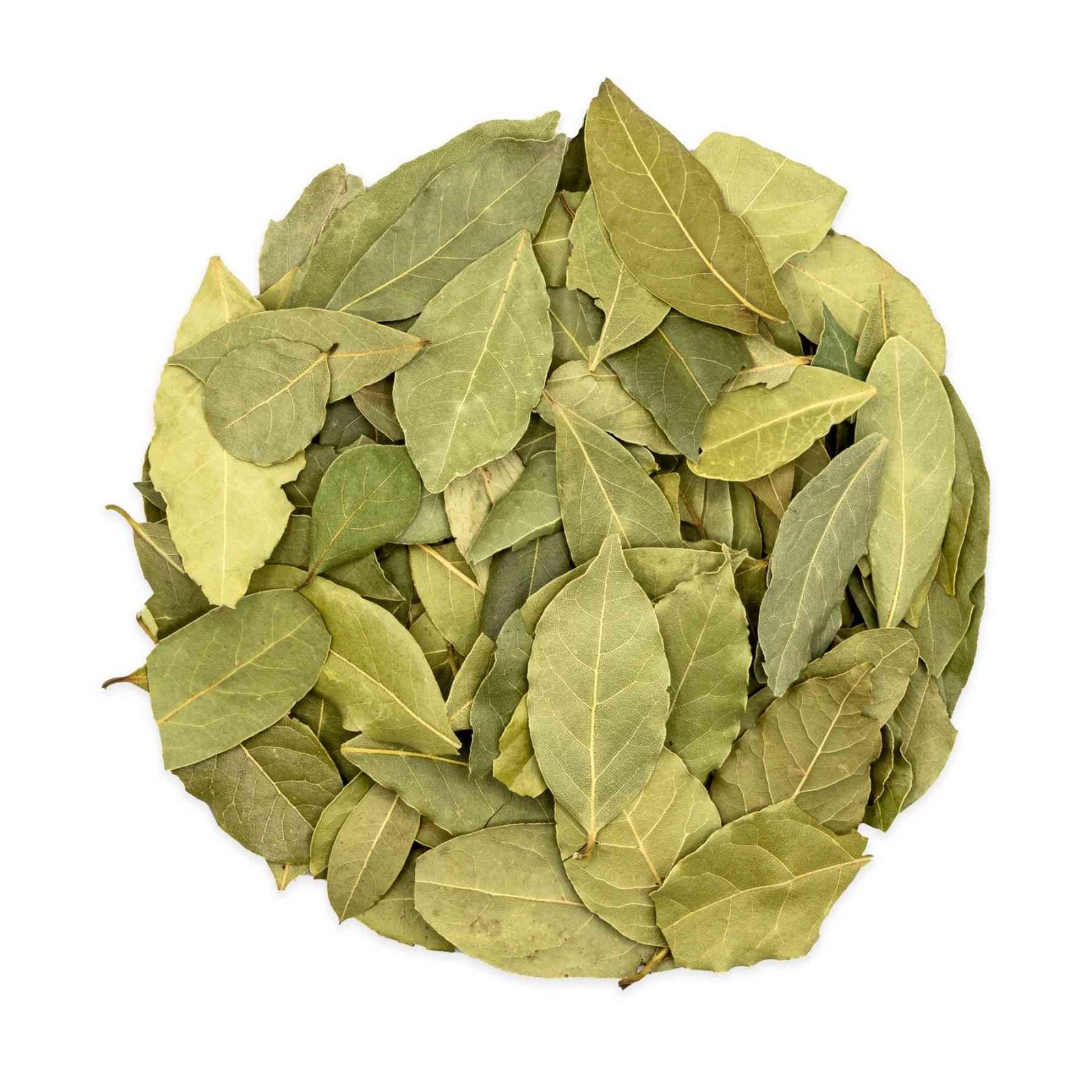 HOJAS DE LAUREL «HUDAMAR»