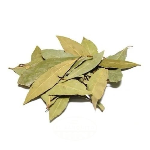 HOJAS DE LAUREL «HUDAMAR»