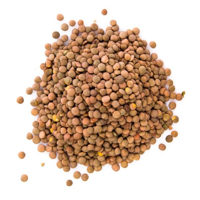 LENTEJAS AGROECOLOGICAS «MONTEFLORE»