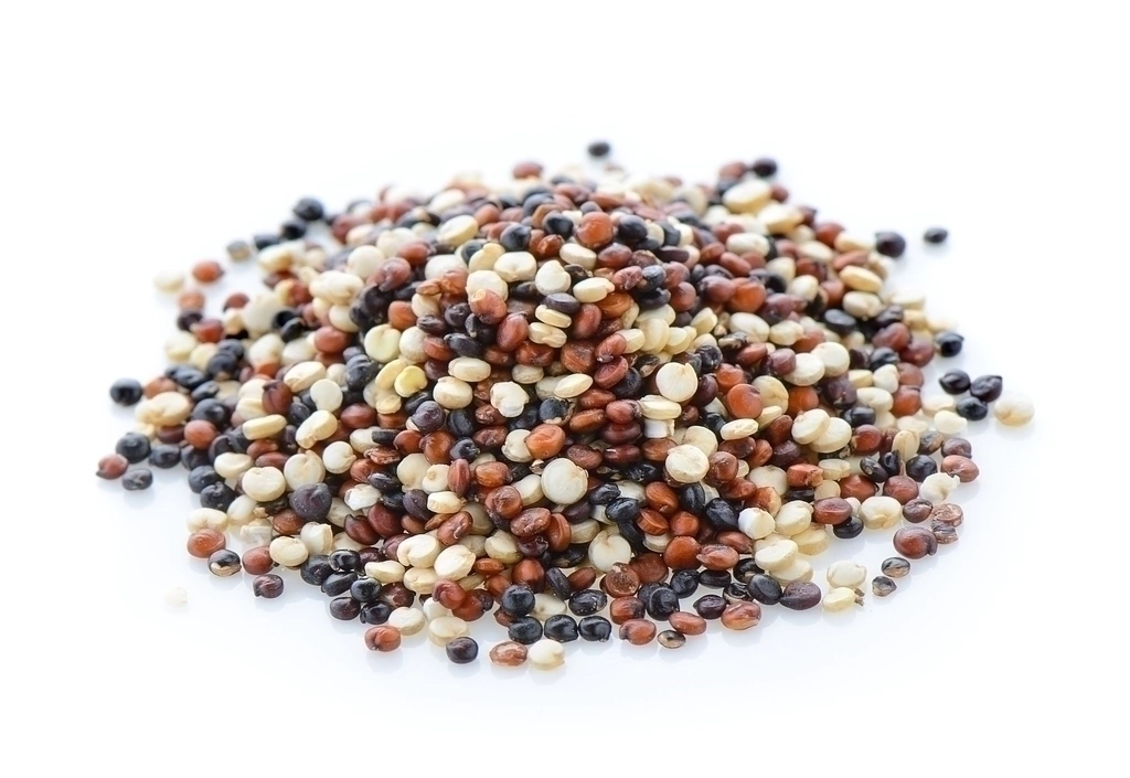 SEMILLAS DE QUINOA TRICOLOR «HUDAMAR»
