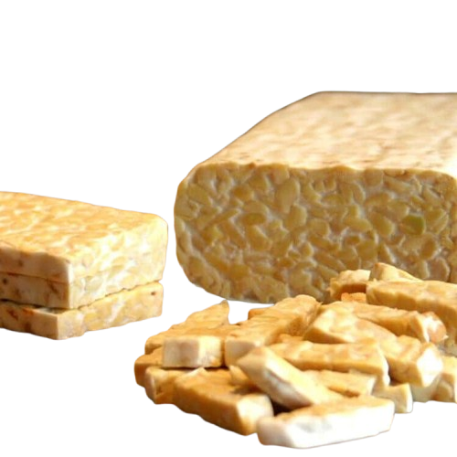 TEMPEH DE SOJA "NUTRIMUNDO" AGROECOLOGICO