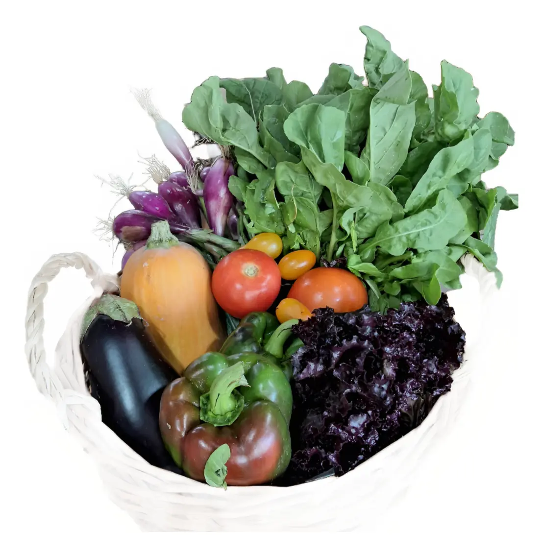 BOLSON MIX DE FRUTAS Y VERDURAS AGROECOLOGICAS "HUDAMAR" (entrega los Jueves)