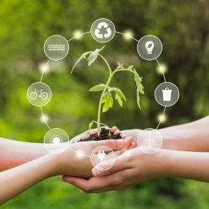 sostenibilidad-ecologica